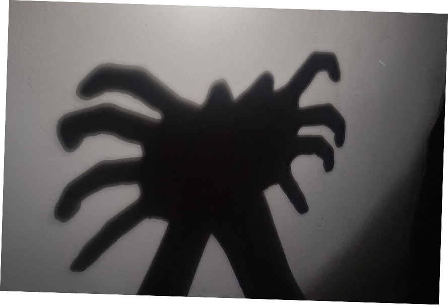 the shadow whisperer